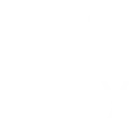 Artly Parties Paint and Sip in Lynchburg, Virginia